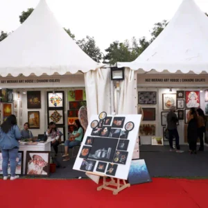 festival of art (7)